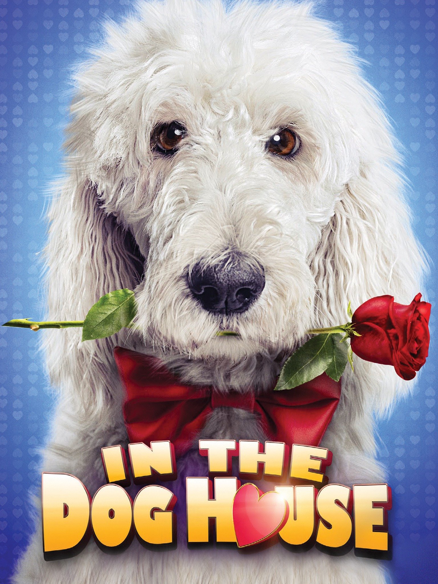 In the Dog House Trailer 1 Trailers & Videos Rotten Tomatoes