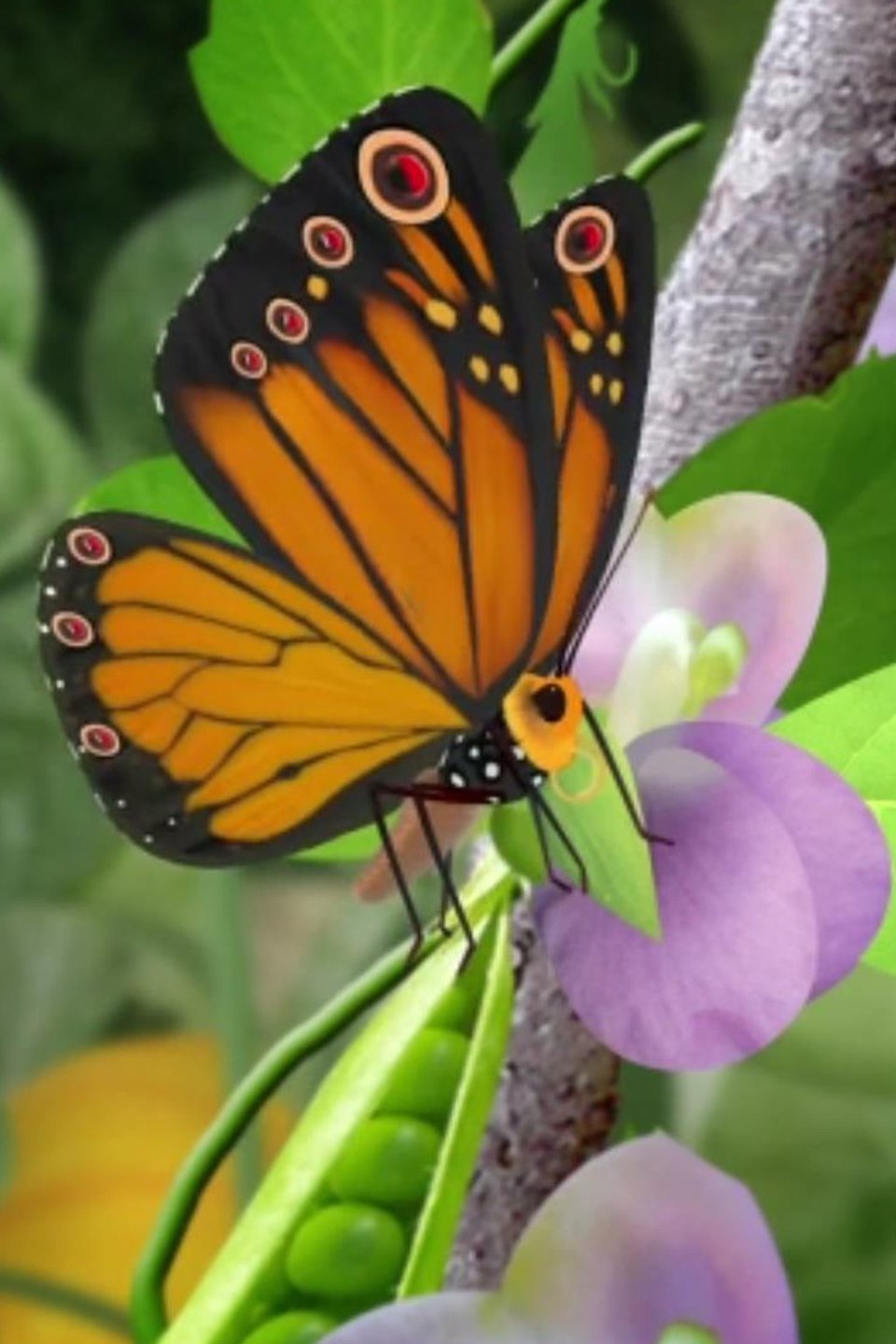 Butterflies Pictures Rotten Tomatoes