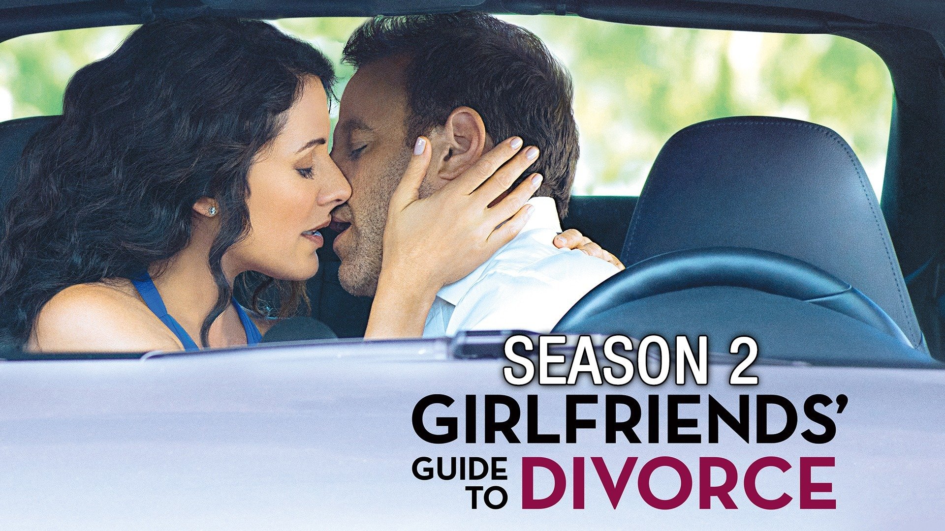 Girlfriends Guide to Divorce picture