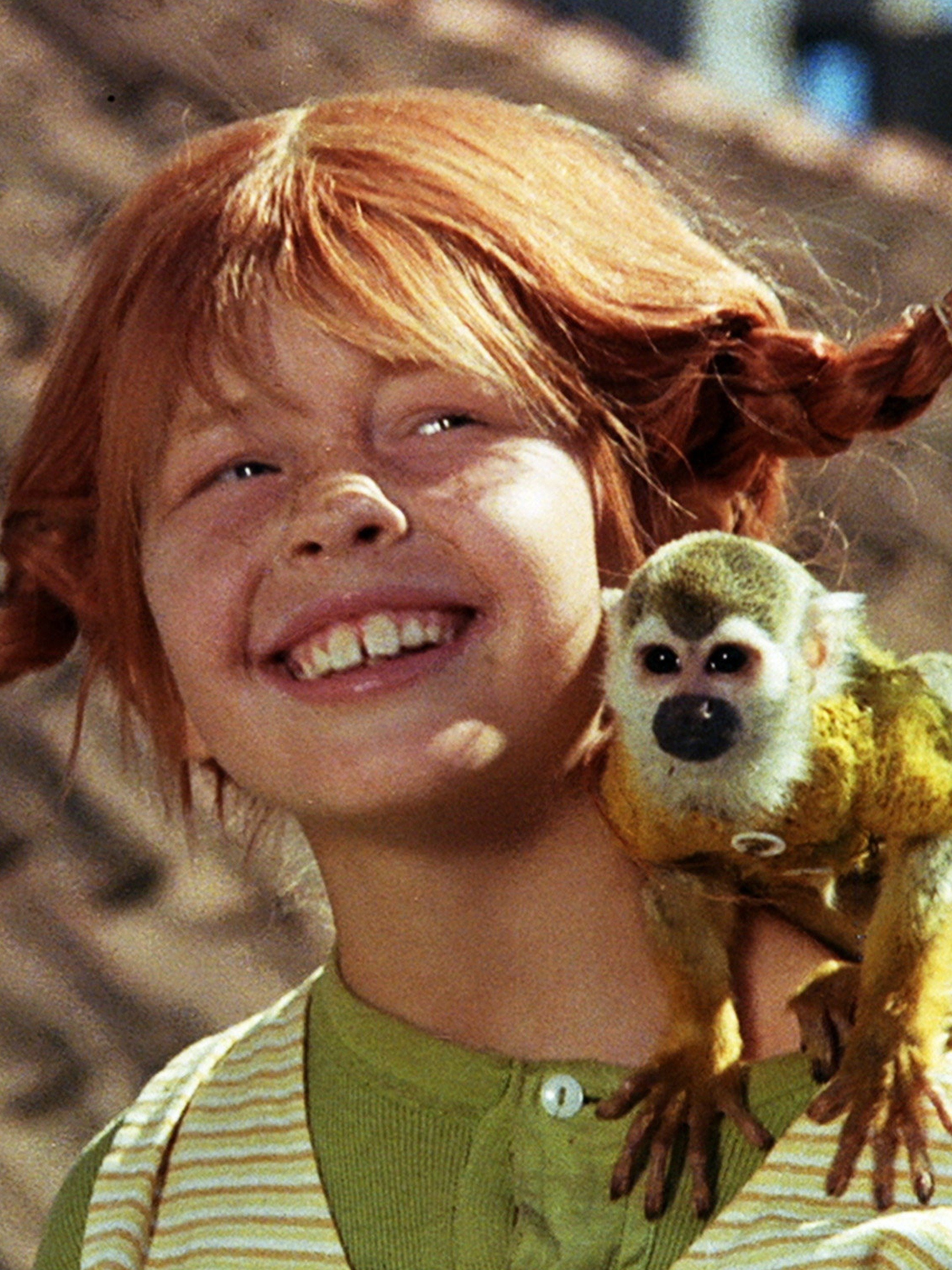 Picture of pippi longstocking