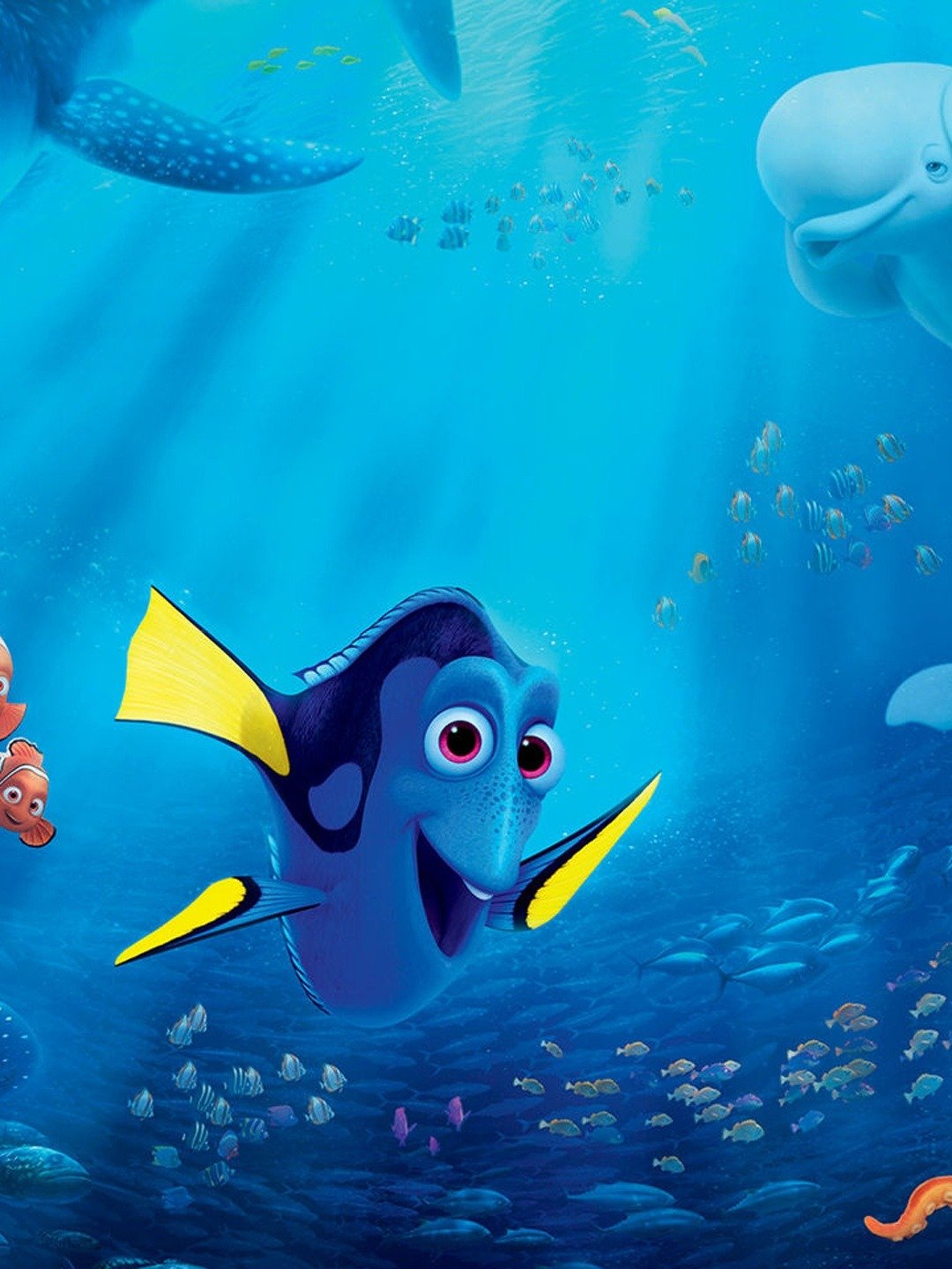 Finding Dory: Trailer 2 - Trailers & Videos - Rotten Tomatoes