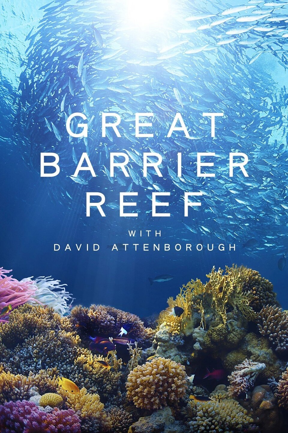 Great Barrier Reef with David Attenborough - Rotten Tomatoes