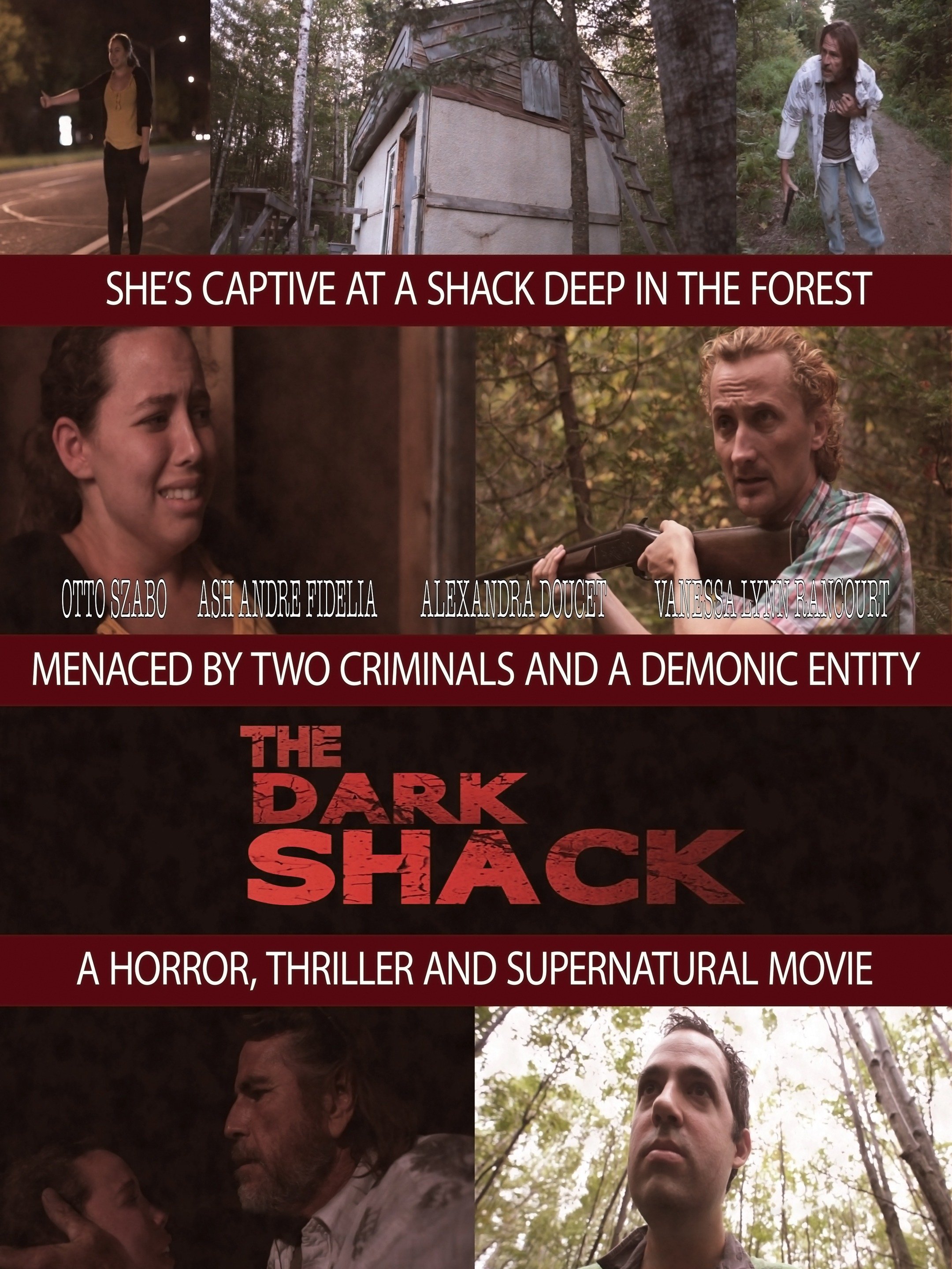 The Dark Shack pic picture