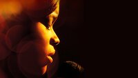 Urban Hymn
