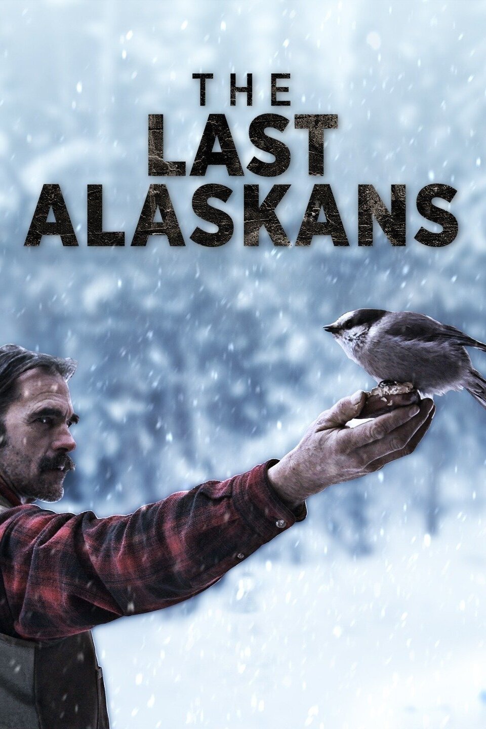 The Last Alaskans Rotten Tomatoes