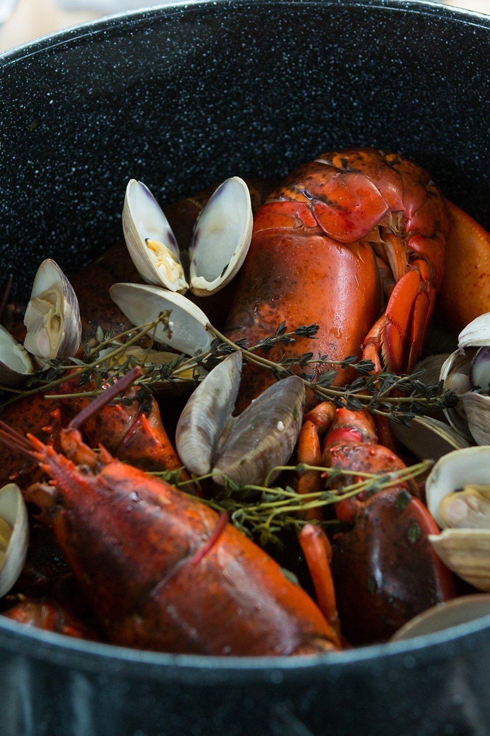 Lobster for Four Pictures Rotten Tomatoes