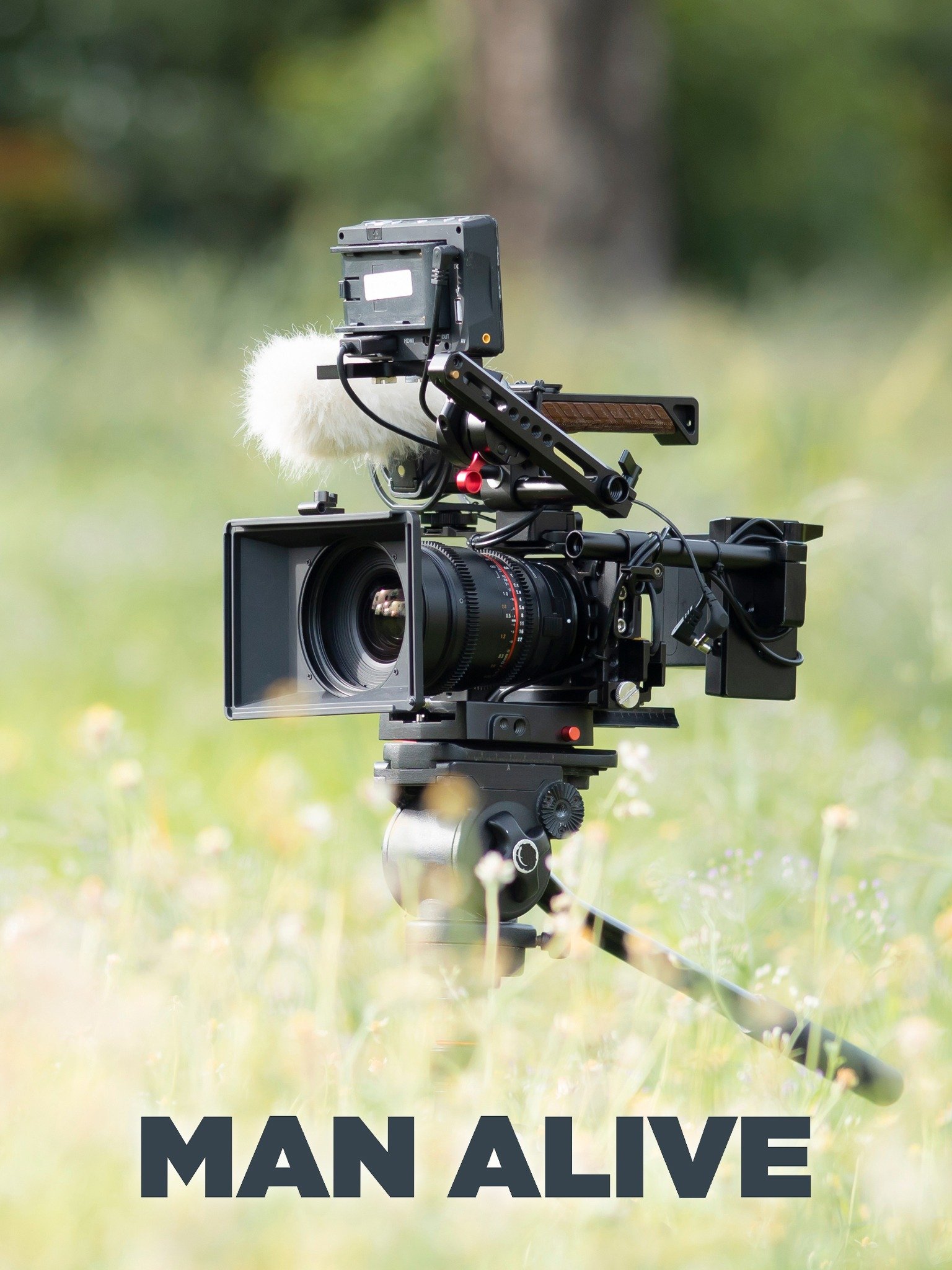 Man Alive Rotten Tomatoes