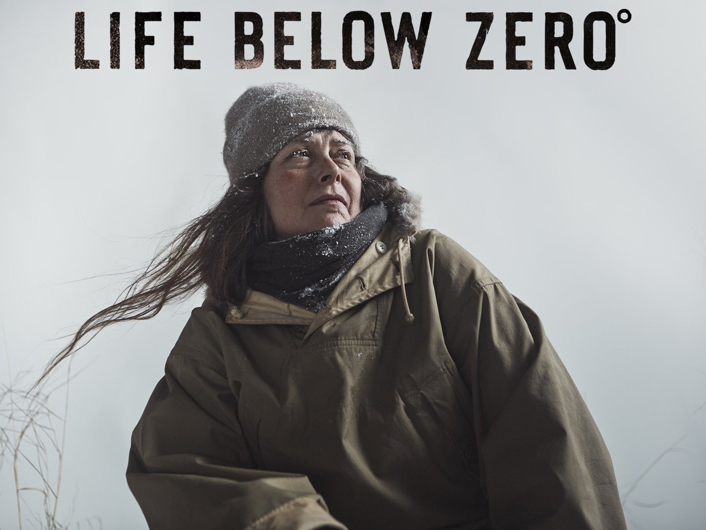 Life Below Zero - Rotten Tomatoes