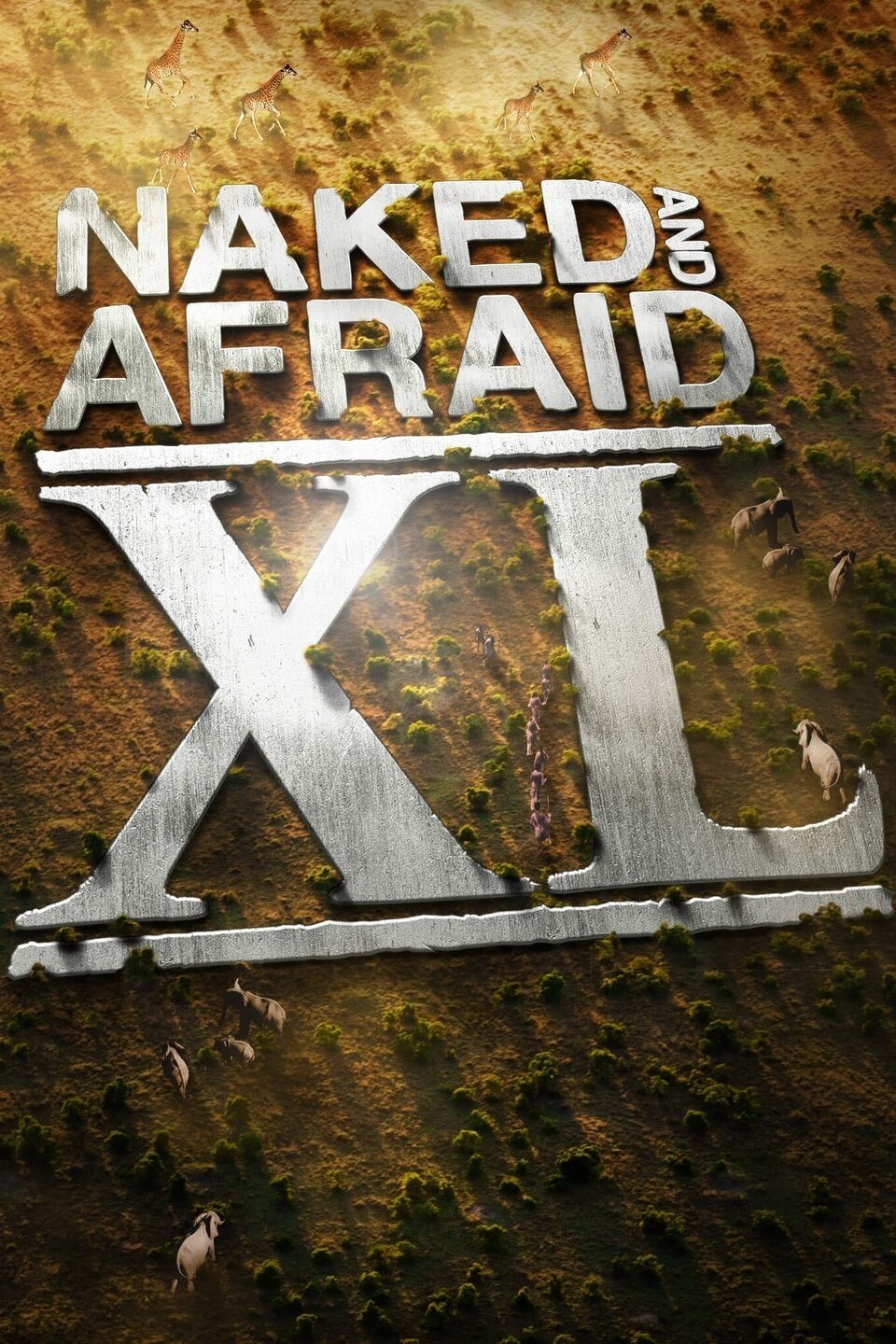 Naked and Afraid XL Season 1 Pictures Rotten Tomatoes