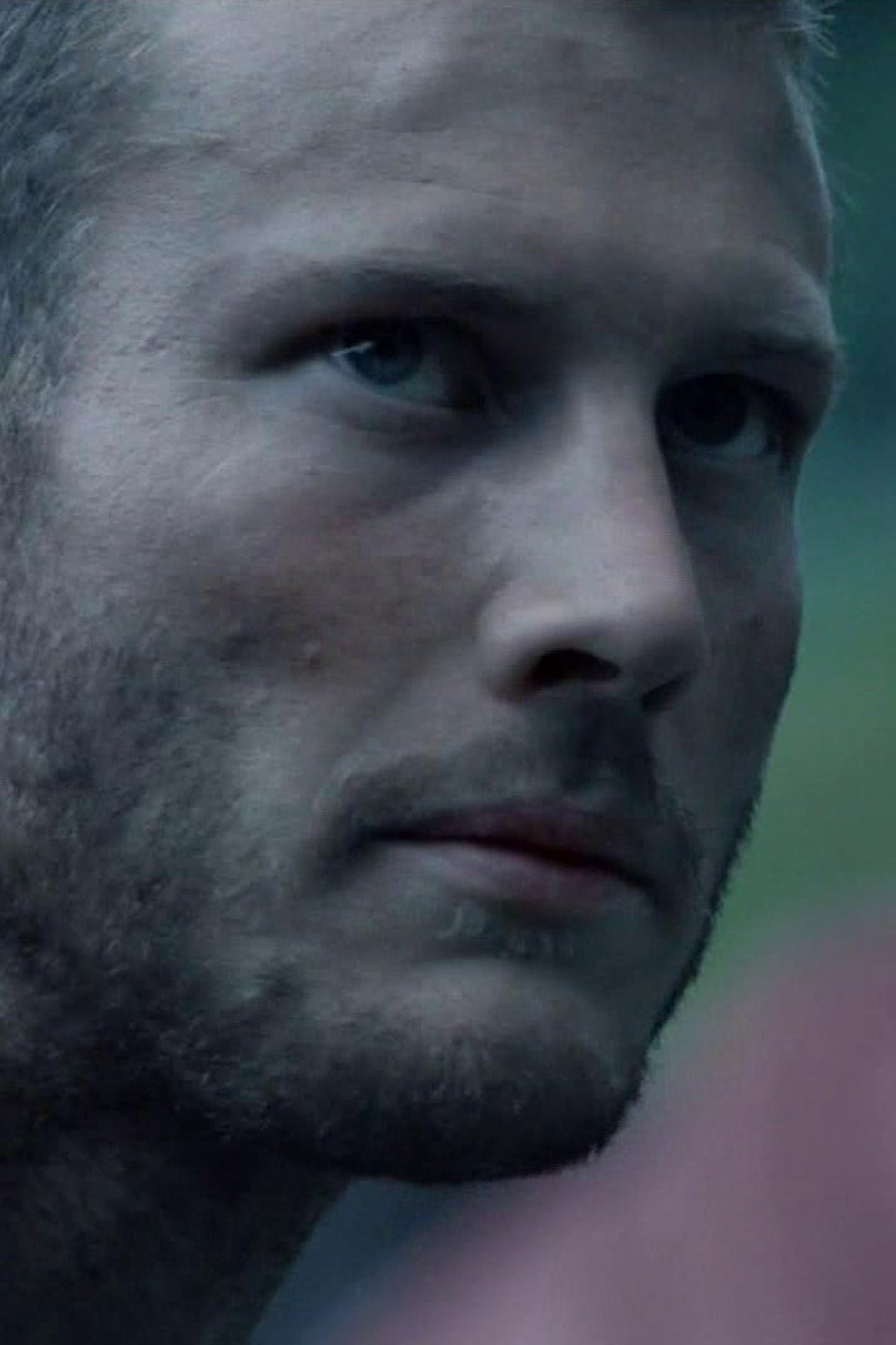 Rebellion Pictures Rotten Tomatoes