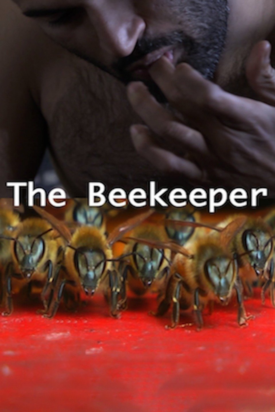 The Beekeeper Pictures Rotten Tomatoes