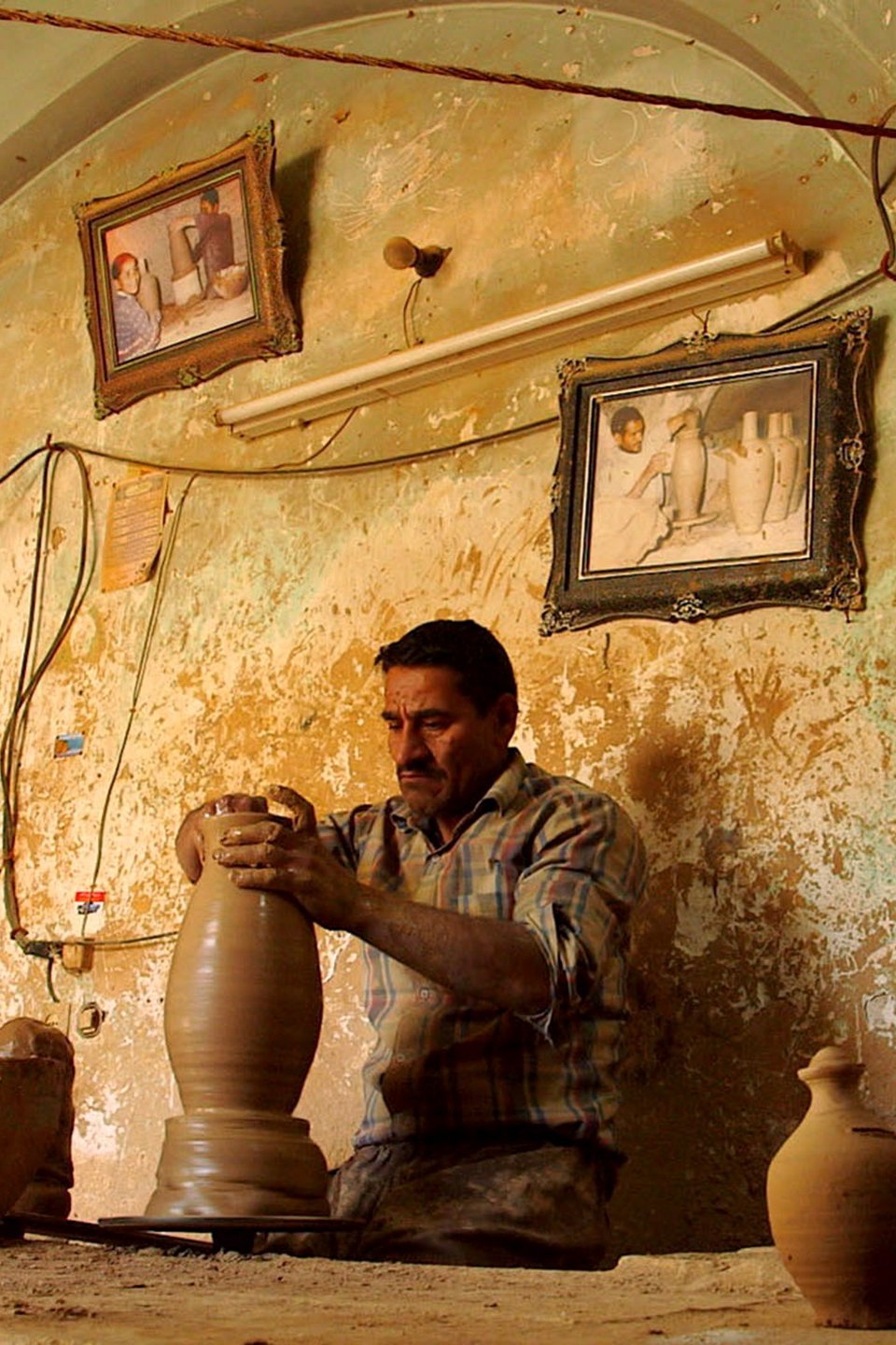 The Potter Pictures Rotten Tomatoes