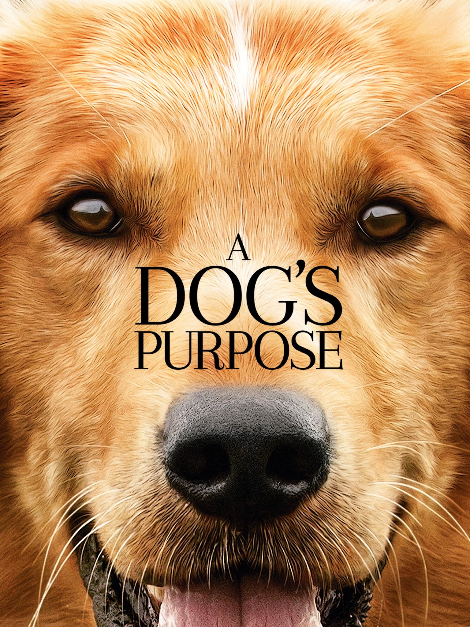 Kadaki Goda Xxx - A Dog's Purpose - Rotten Tomatoes