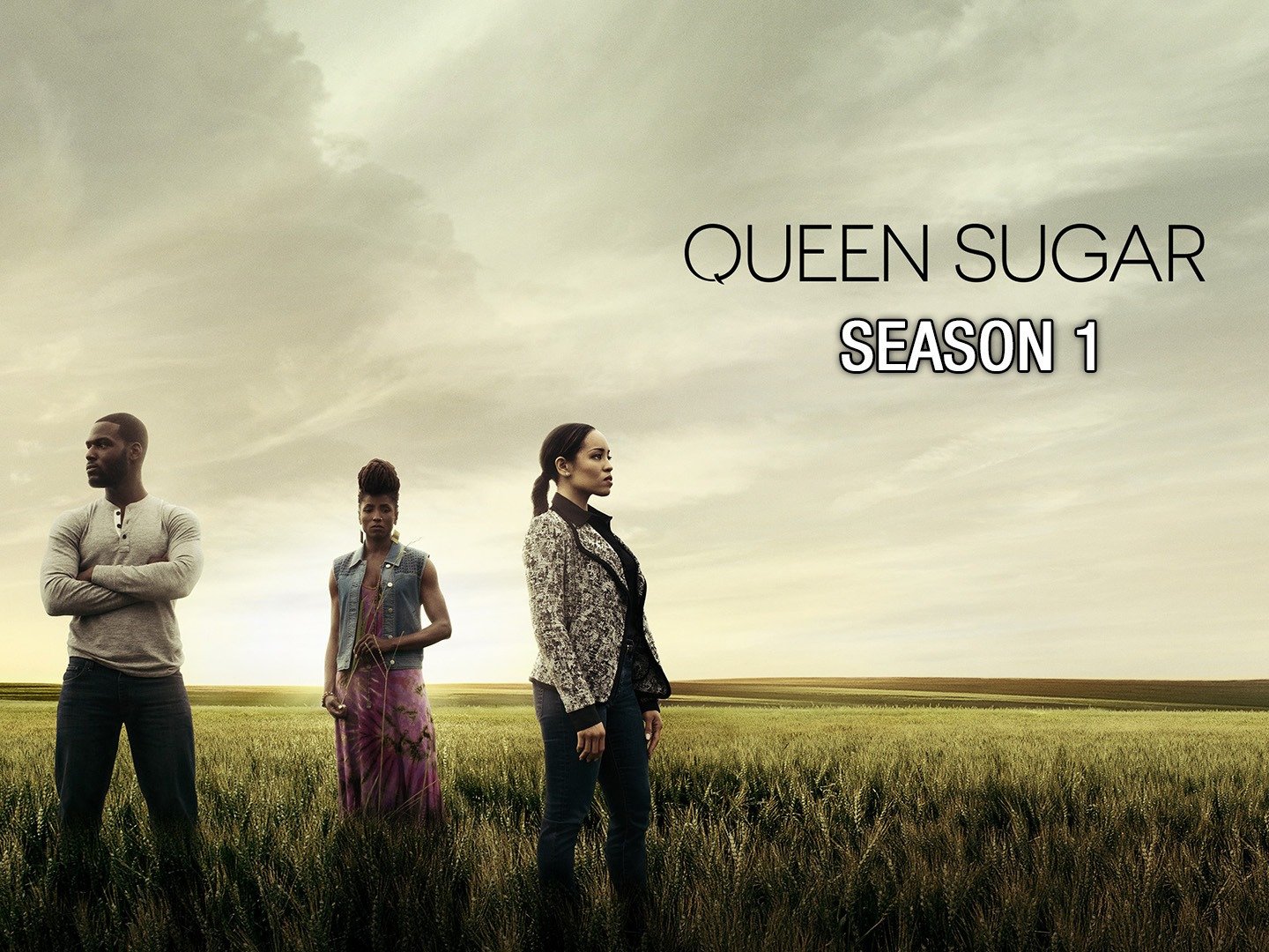 Queen Sugar Rotten Tomatoes