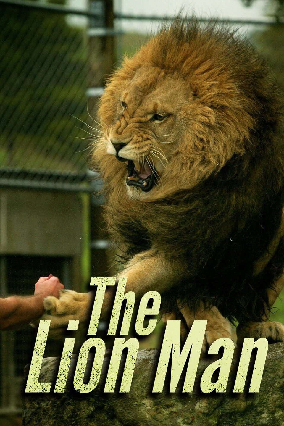 The Lion Man Rotten Tomatoes