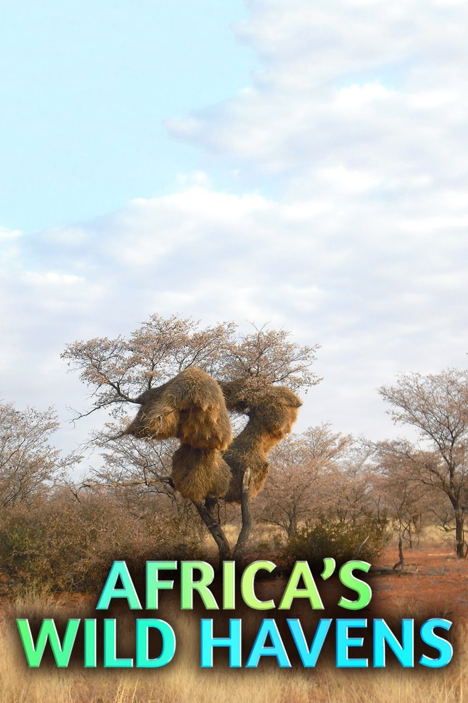 africa-s-wild-havens-rotten-tomatoes