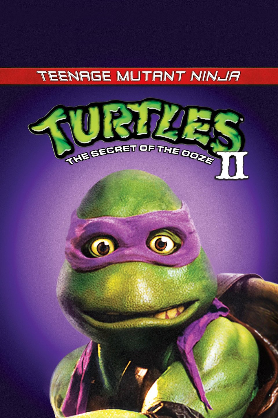 Turtle Teenage