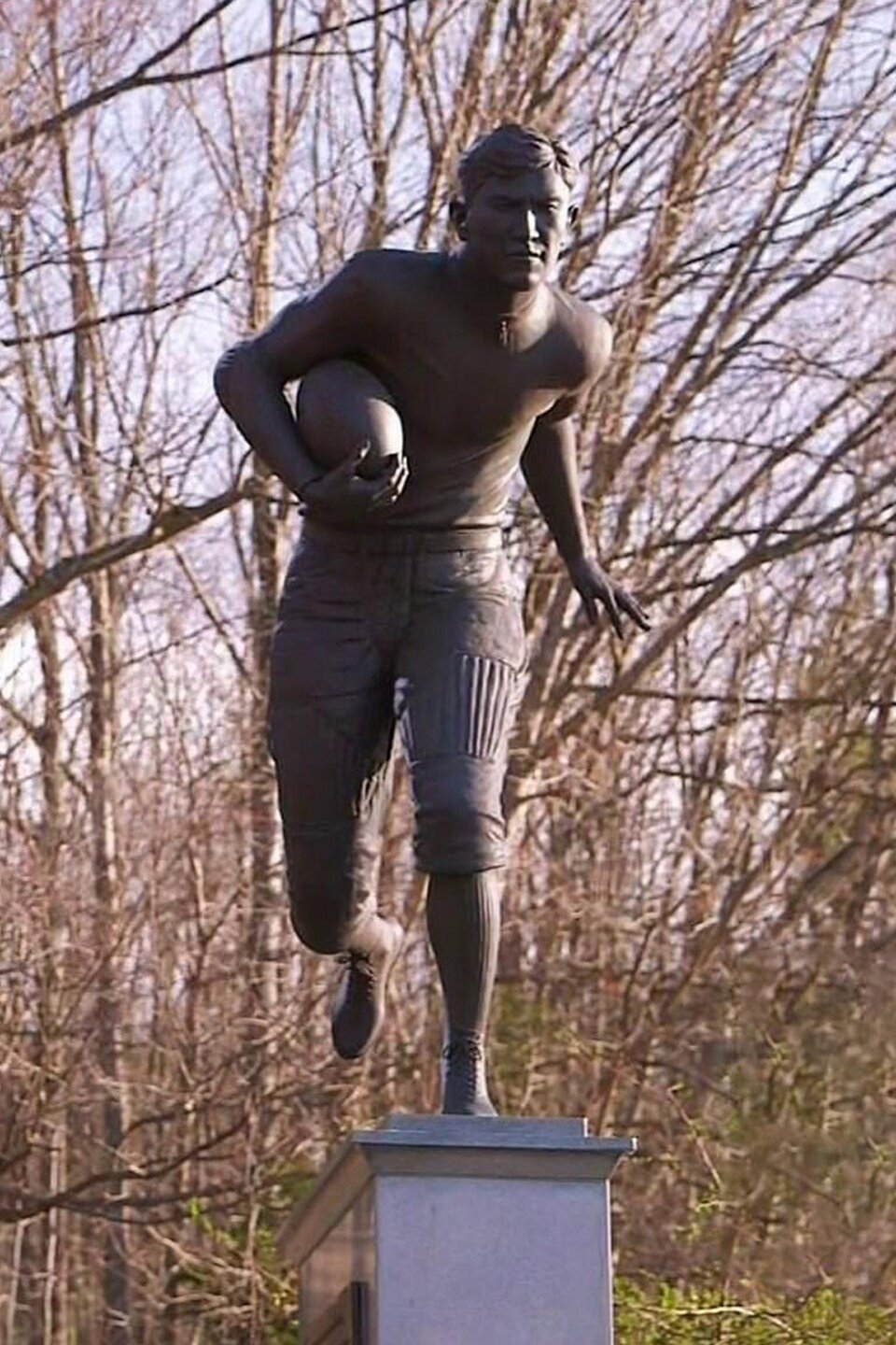 Millennium Heist; New Jersey Man Eater; Elvis Meets Nixon Pictures Rotten Tomatoes