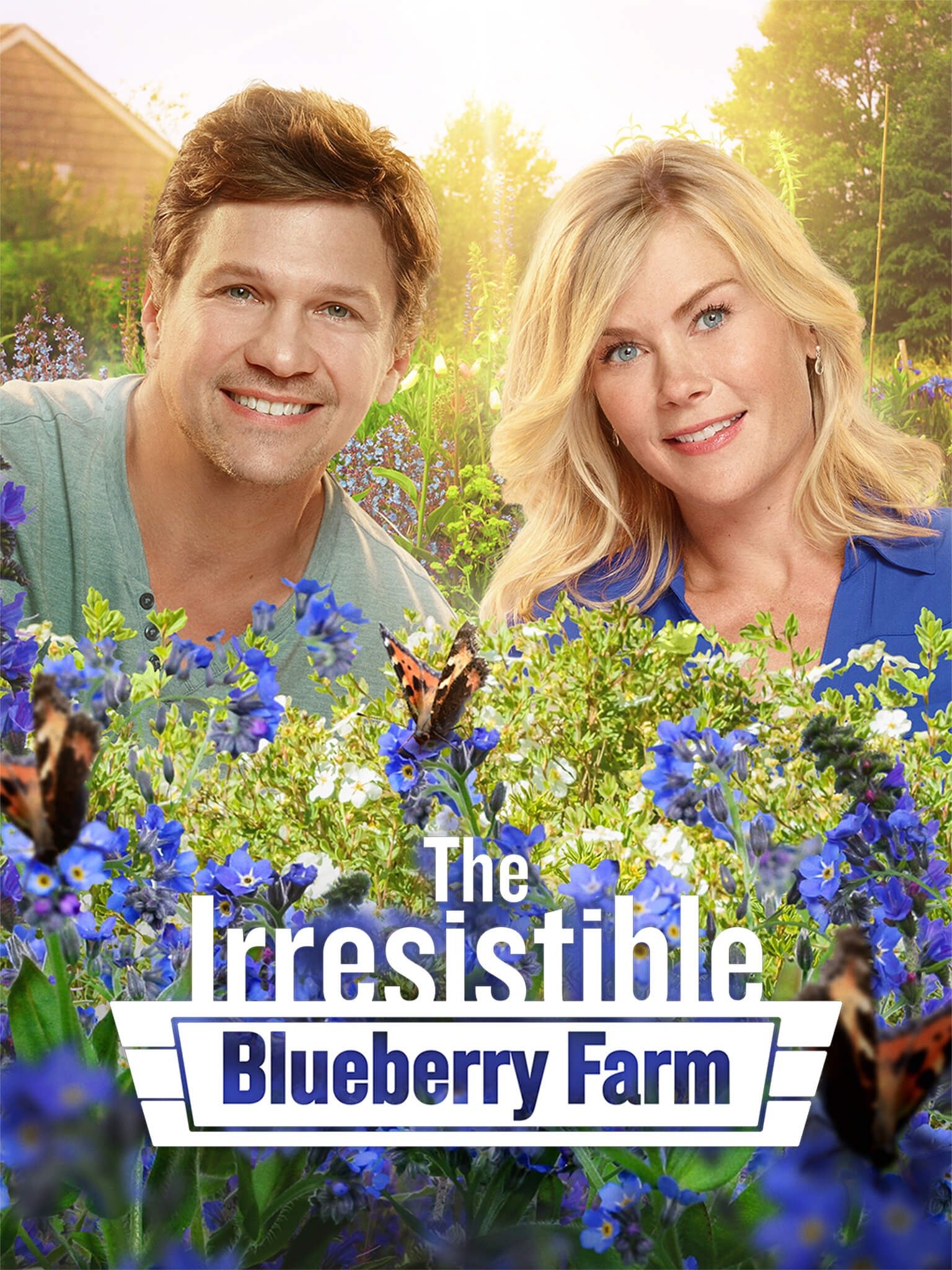The Irresistible Blueberry Farm (2016) Rotten Tomatoes