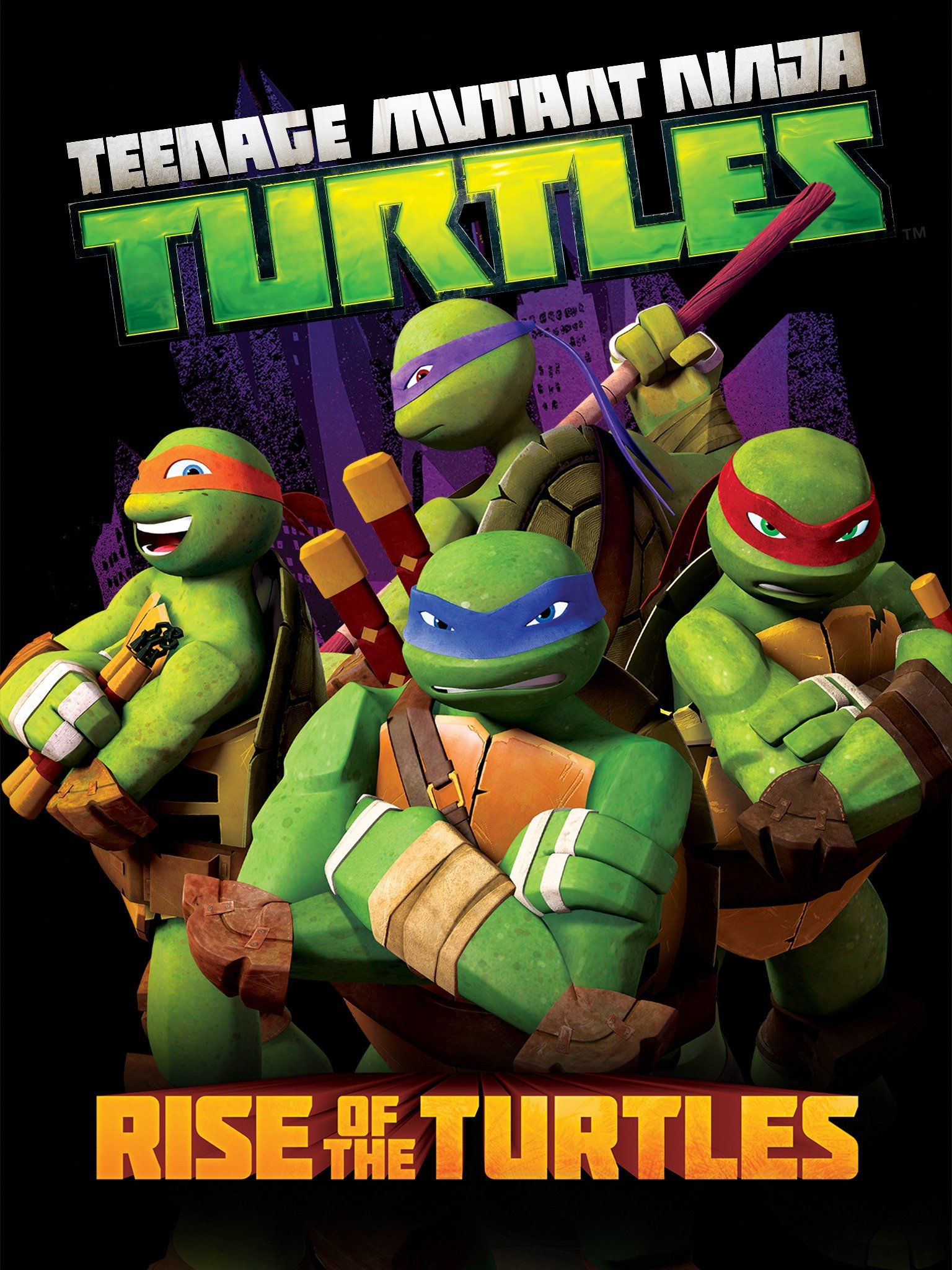 Teenage Mutant Ninja Turtles Rise of the Turtles Pictures Rotten