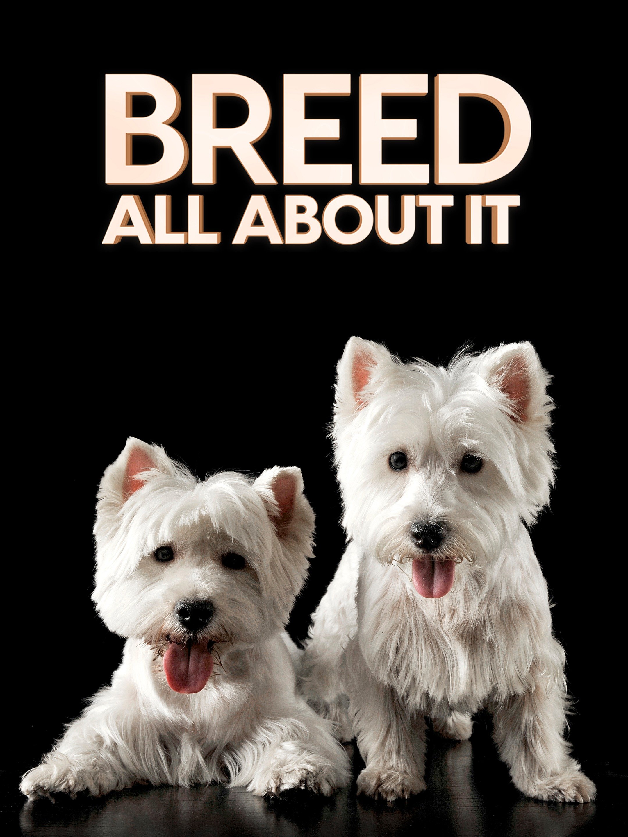 Breed All About It