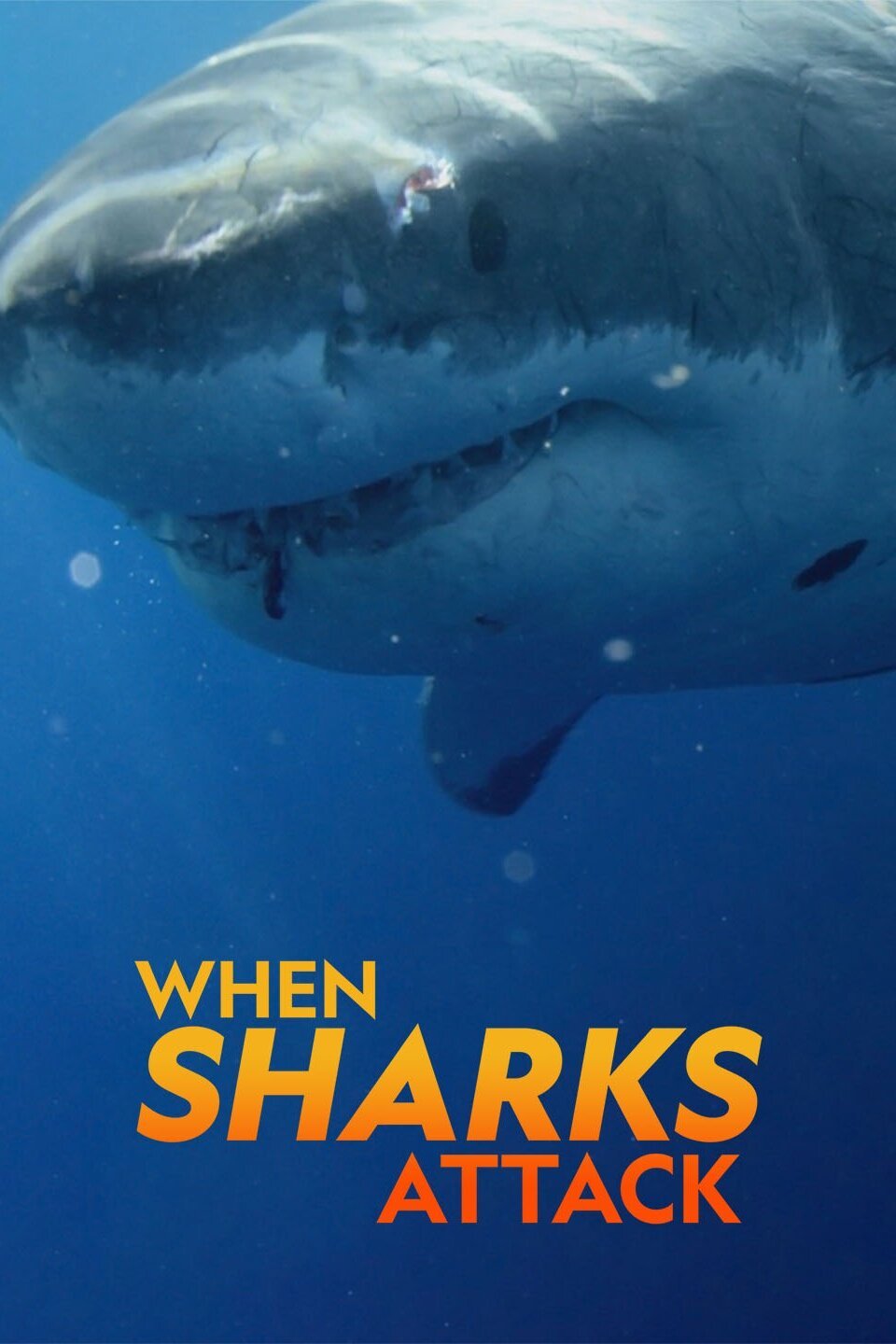 When Sharks Attack - Rotten Tomatoes