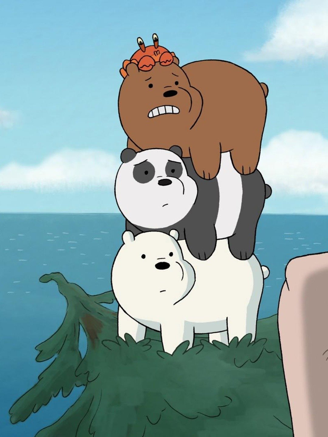 Prime Video: We Bare Bears