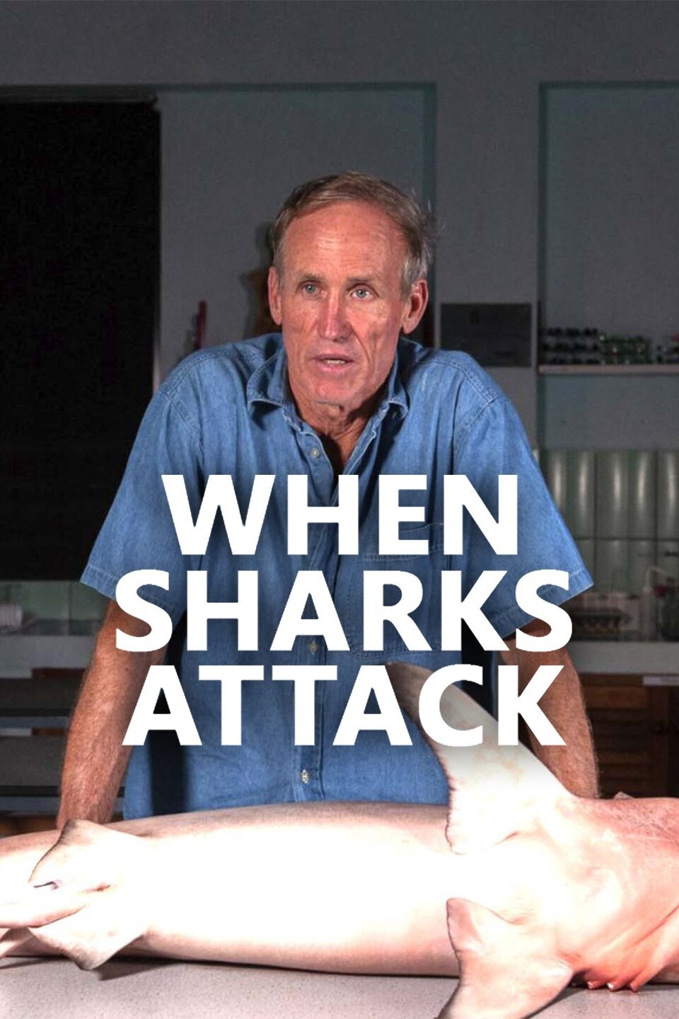 When Sharks Attack Rotten Tomatoes