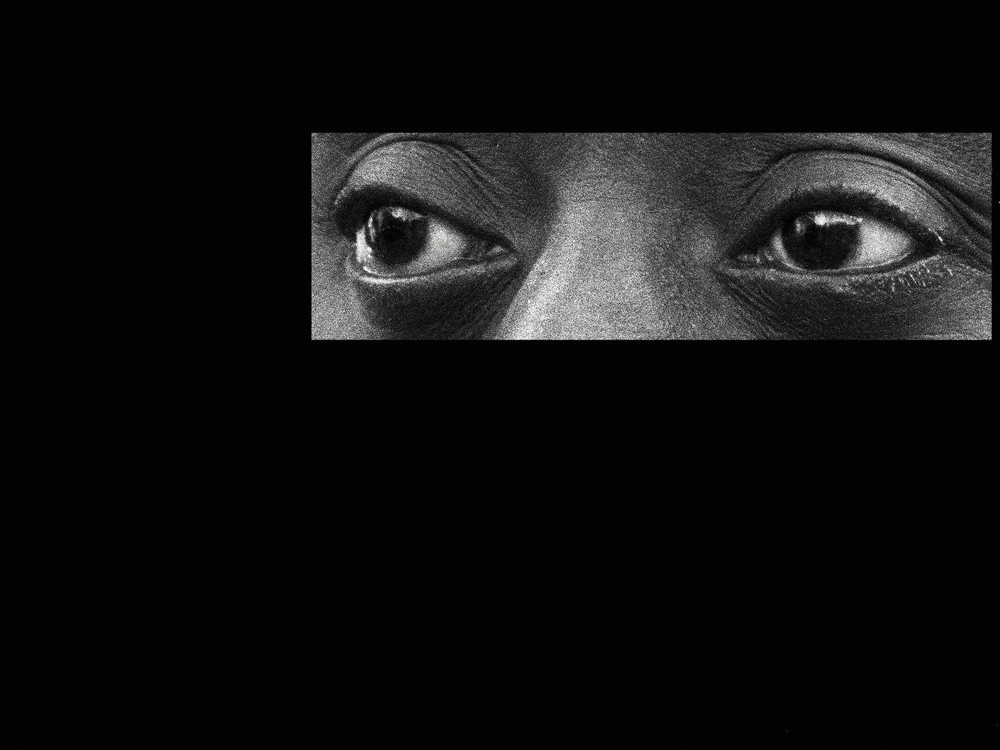 I Am Not Your Negro: Trailer 1 - Trailers & Videos - Rotten Tomatoes