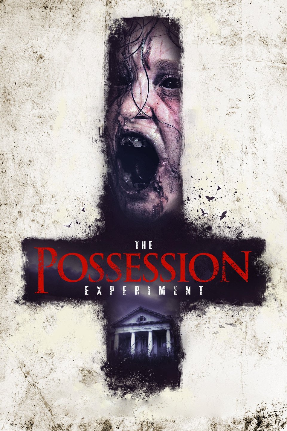 the possession experiment streaming