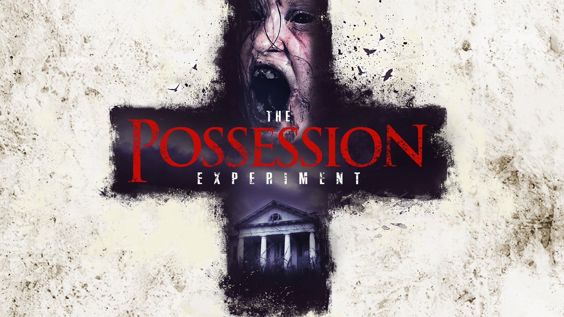 the possession experiment trailer