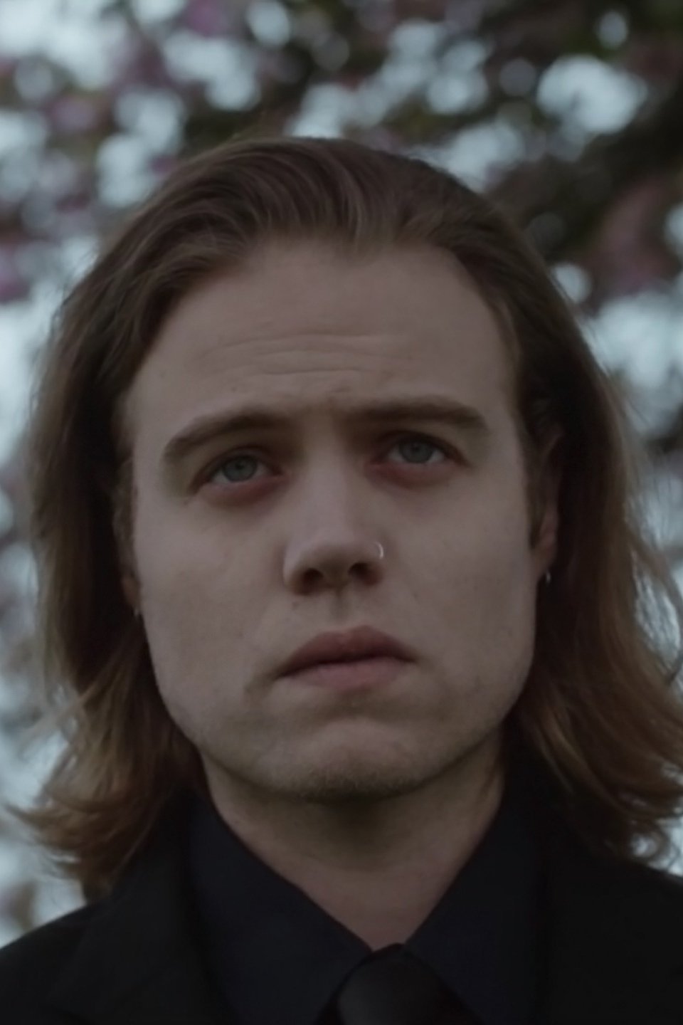 Aleksander Pictures - Rotten Tomatoes