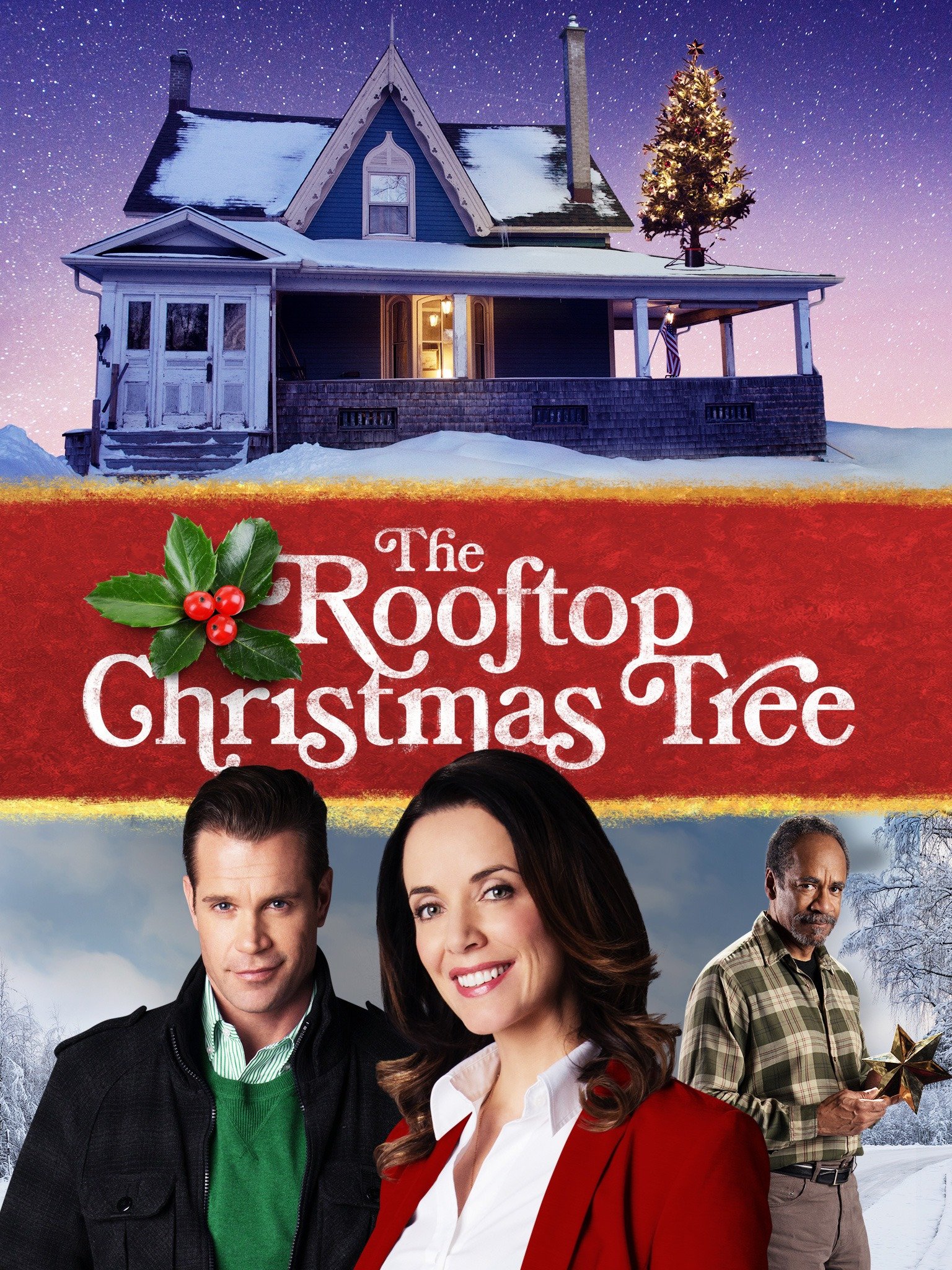 The Rooftop Christmas Tree (2016) Rotten Tomatoes