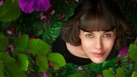 This Beautiful Fantastic
