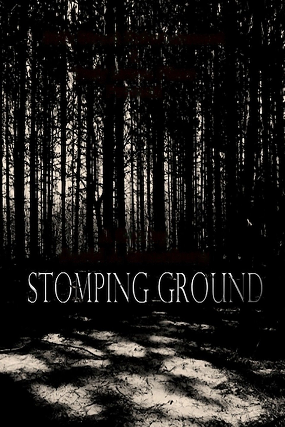 Stomping Ground Pictures Rotten Tomatoes