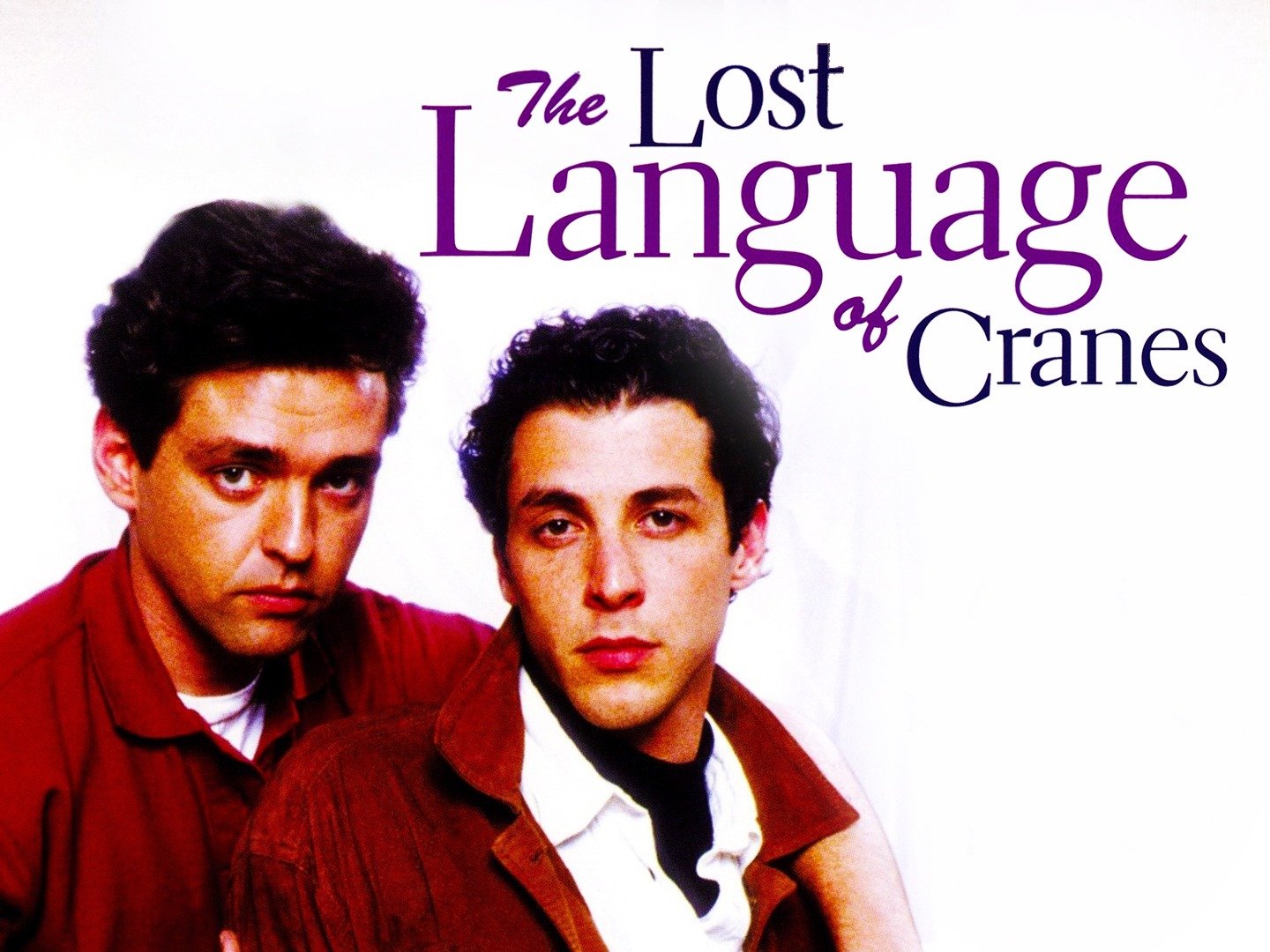 the lost language of cranes by david leavitt