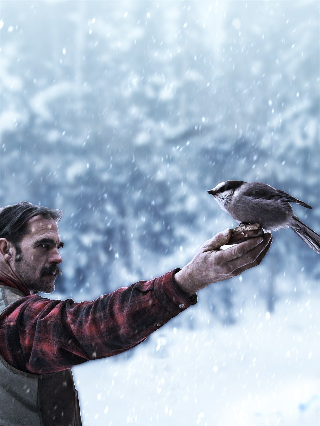 the-last-alaskans-no-man-s-land-rotten-tomatoes