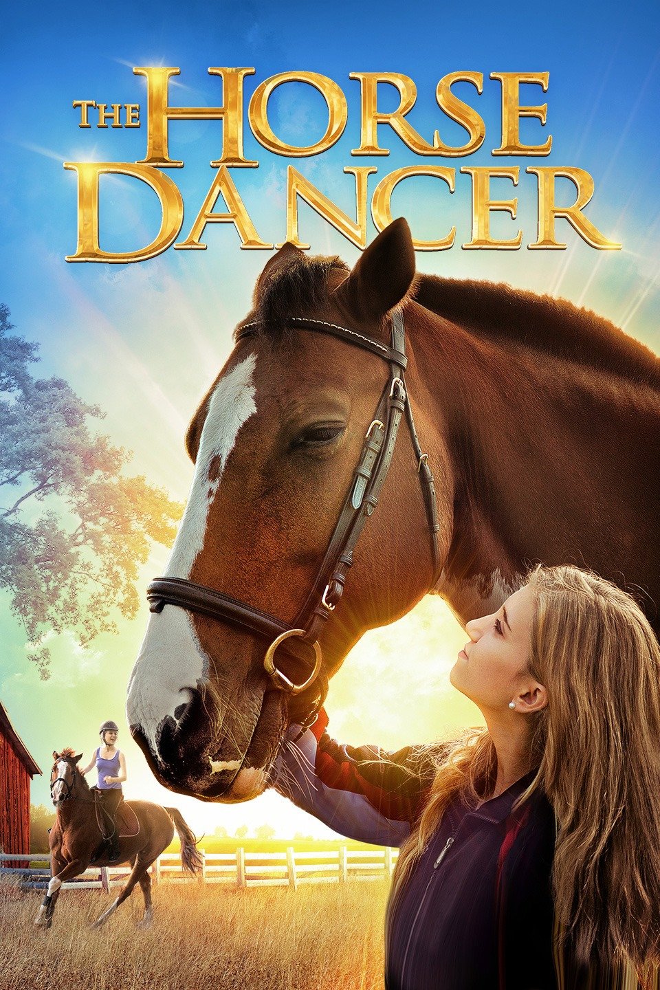The Horse Dancer Rotten Tomatoes