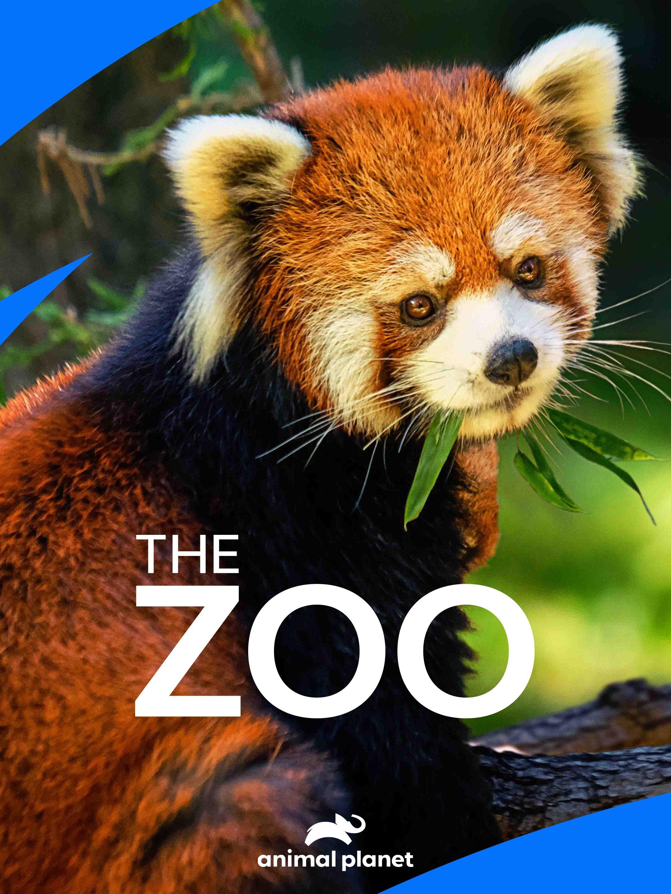 The Zoo - Rotten Tomatoes