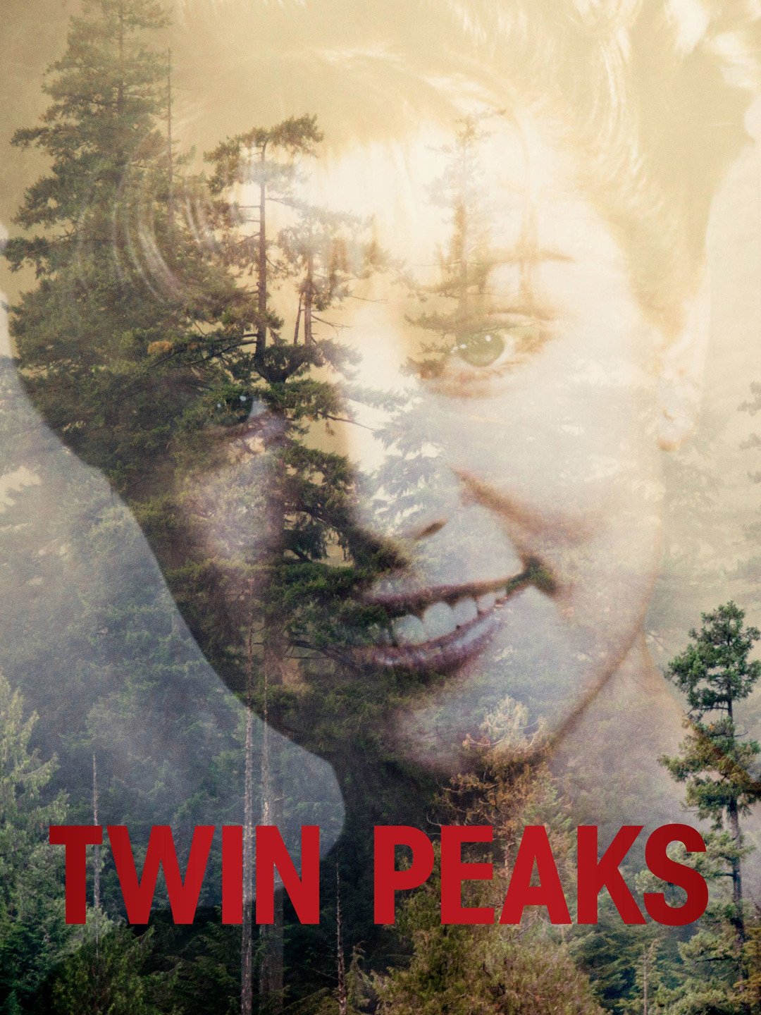Twin Peaks 3 of 3 (Twin Peaks: The Return)