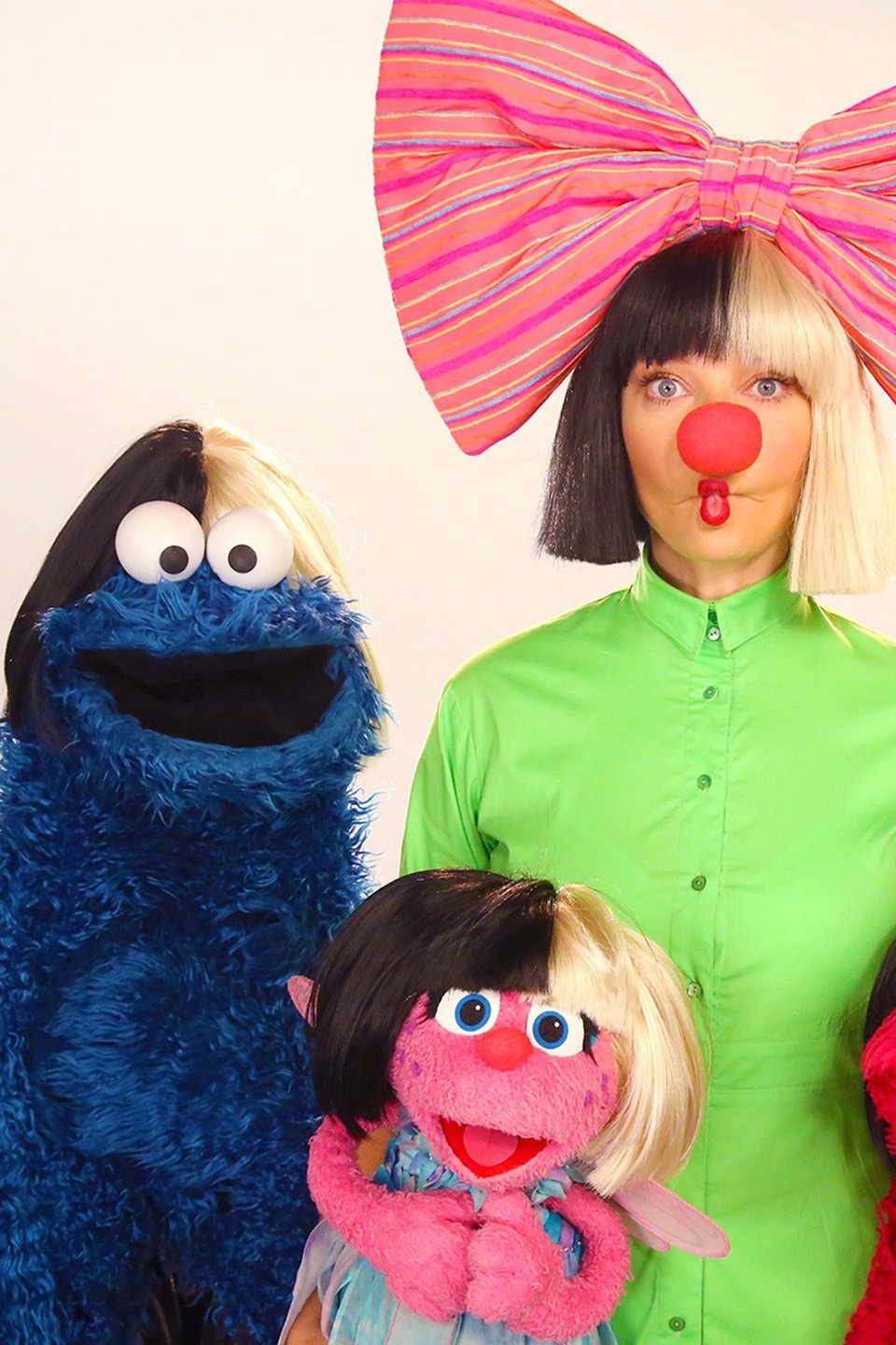 Big Bird's Song Pictures Rotten Tomatoes