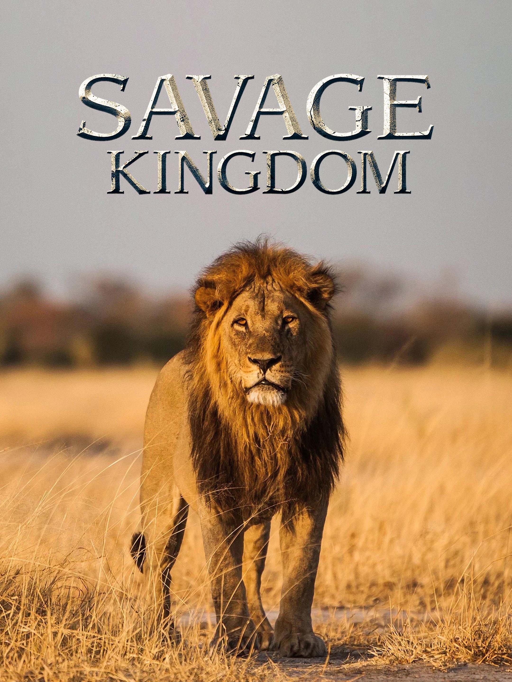 savage-kingdom-season-1-pictures-rotten-tomatoes