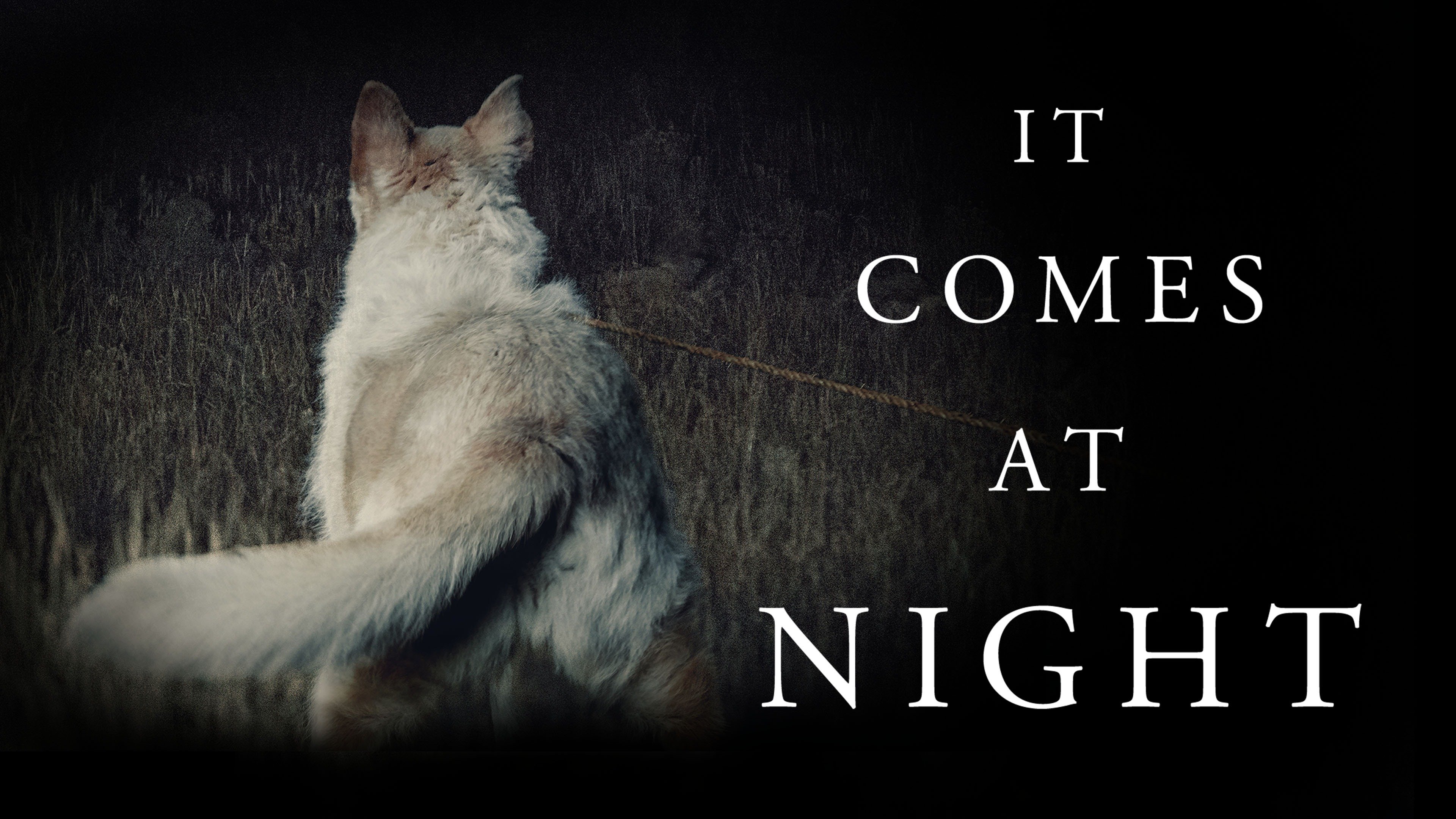 It Comes At Night: Trailer 2 - Trailers & Videos - Rotten Tomatoes
