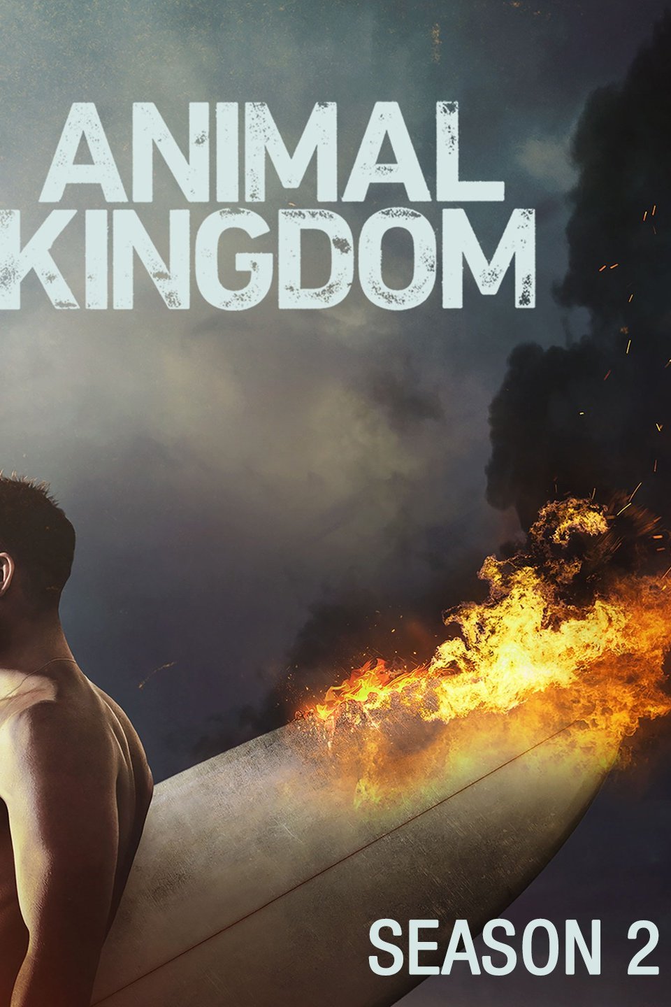 Animal Kingdom - Rotten Tomatoes