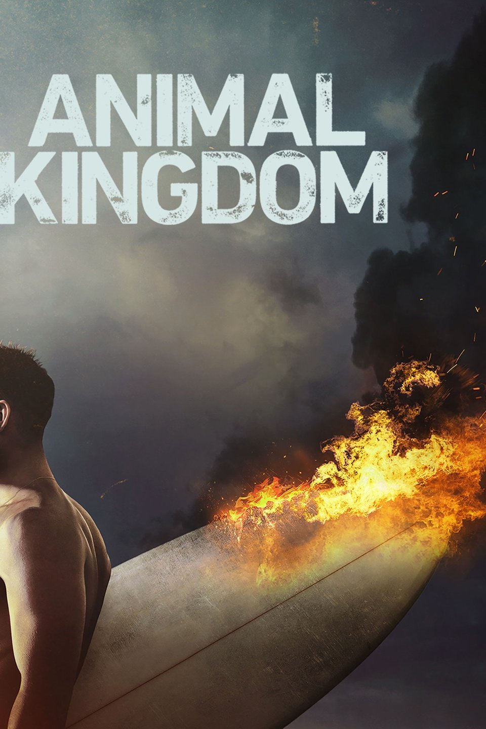 Animal Kingdom - Rotten Tomatoes