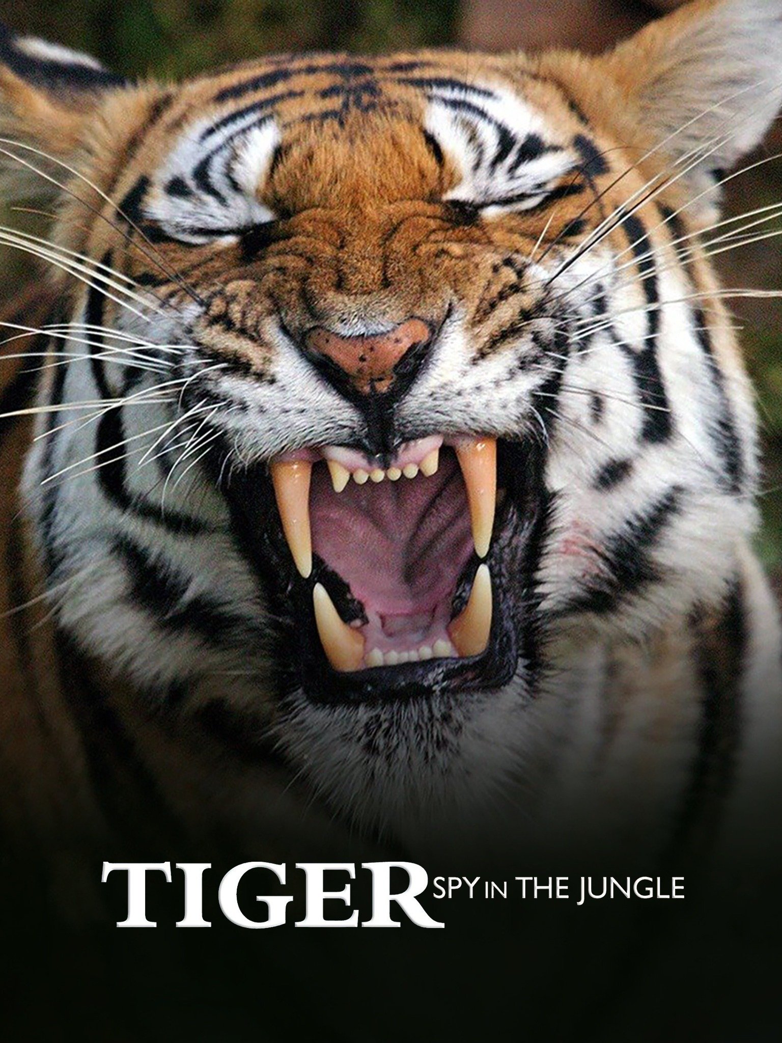 Tiger: Spy in the Jungle - Rotten Tomatoes