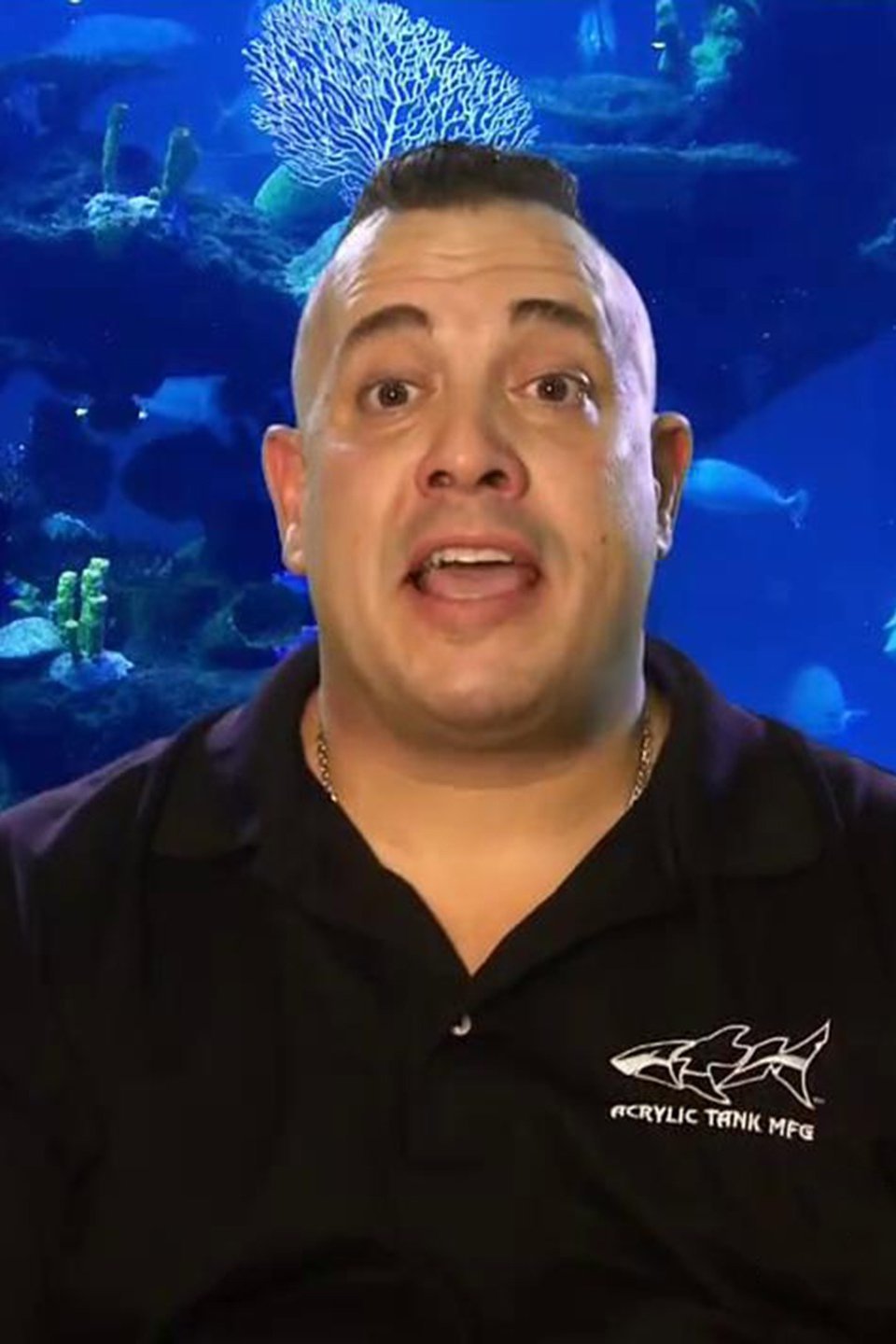 Miami Heating Up Pictures Rotten Tomatoes