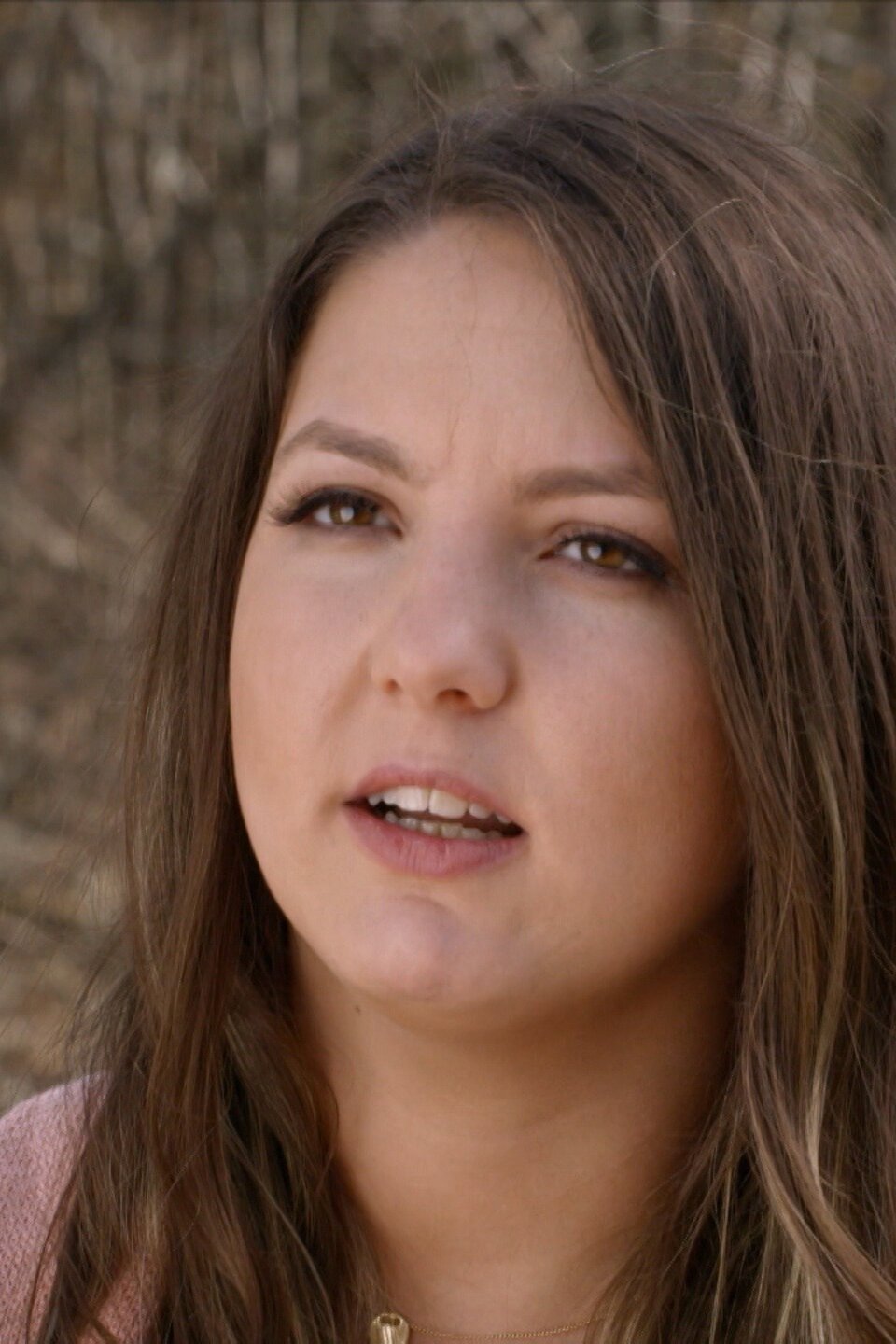 Great Smokey Mountain National Park Pictures Rotten Tomatoes