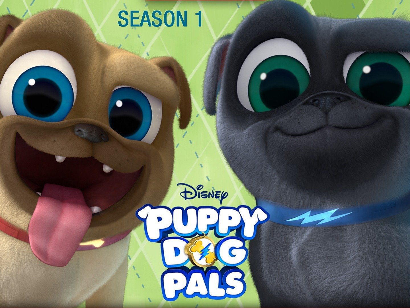 where does puppy dog pals take place