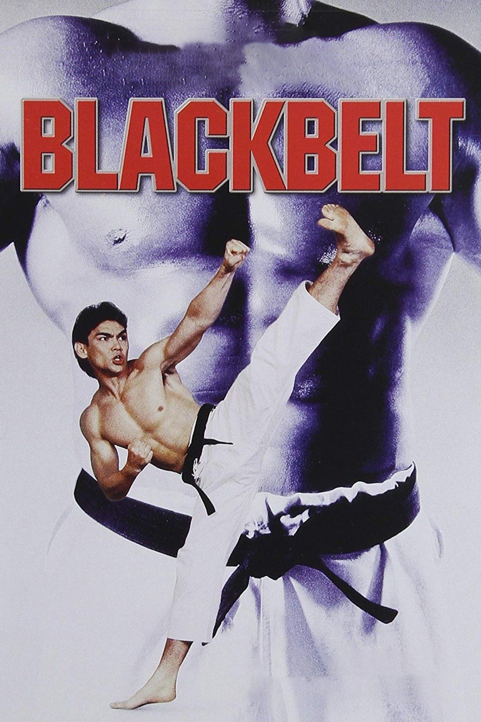 Blackbelt - Rotten Tomatoes